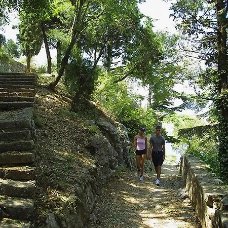 Lorna & Igor Zuvic Omišalj